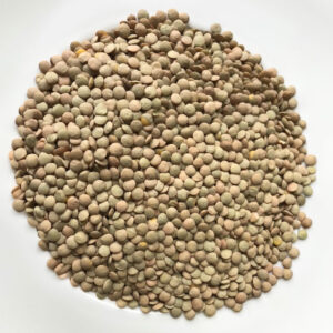 Étkezési lencse 0,5kg