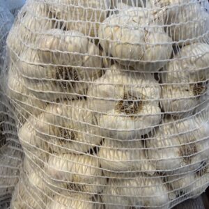 MAKÓI ŐSZI FOKHAGYMA 5KG