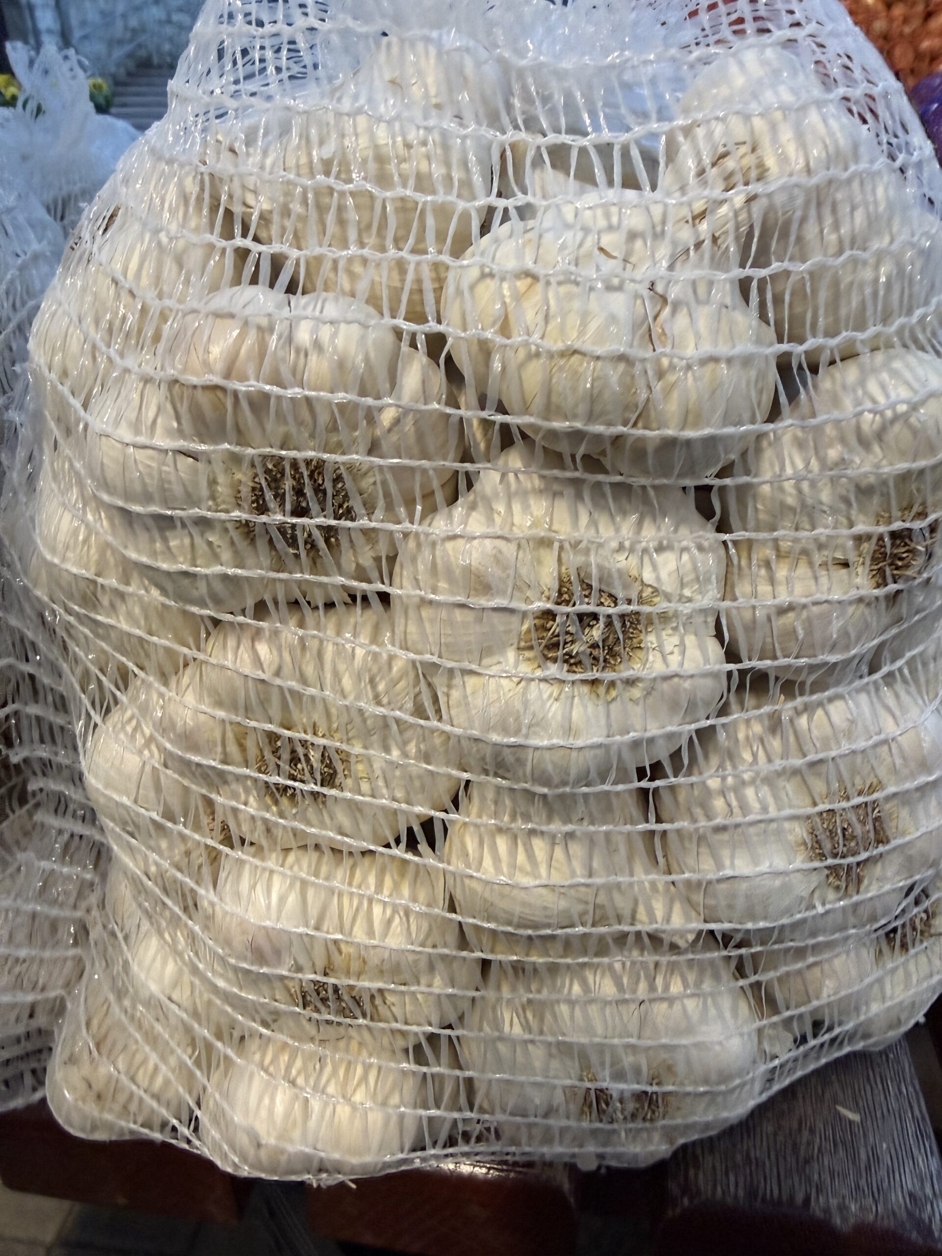 MAKÓI ŐSZI FOKHAGYMA 5KG