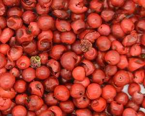 RÓZSABORS